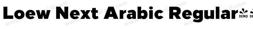 Loew Next Arabic Regular字体转换